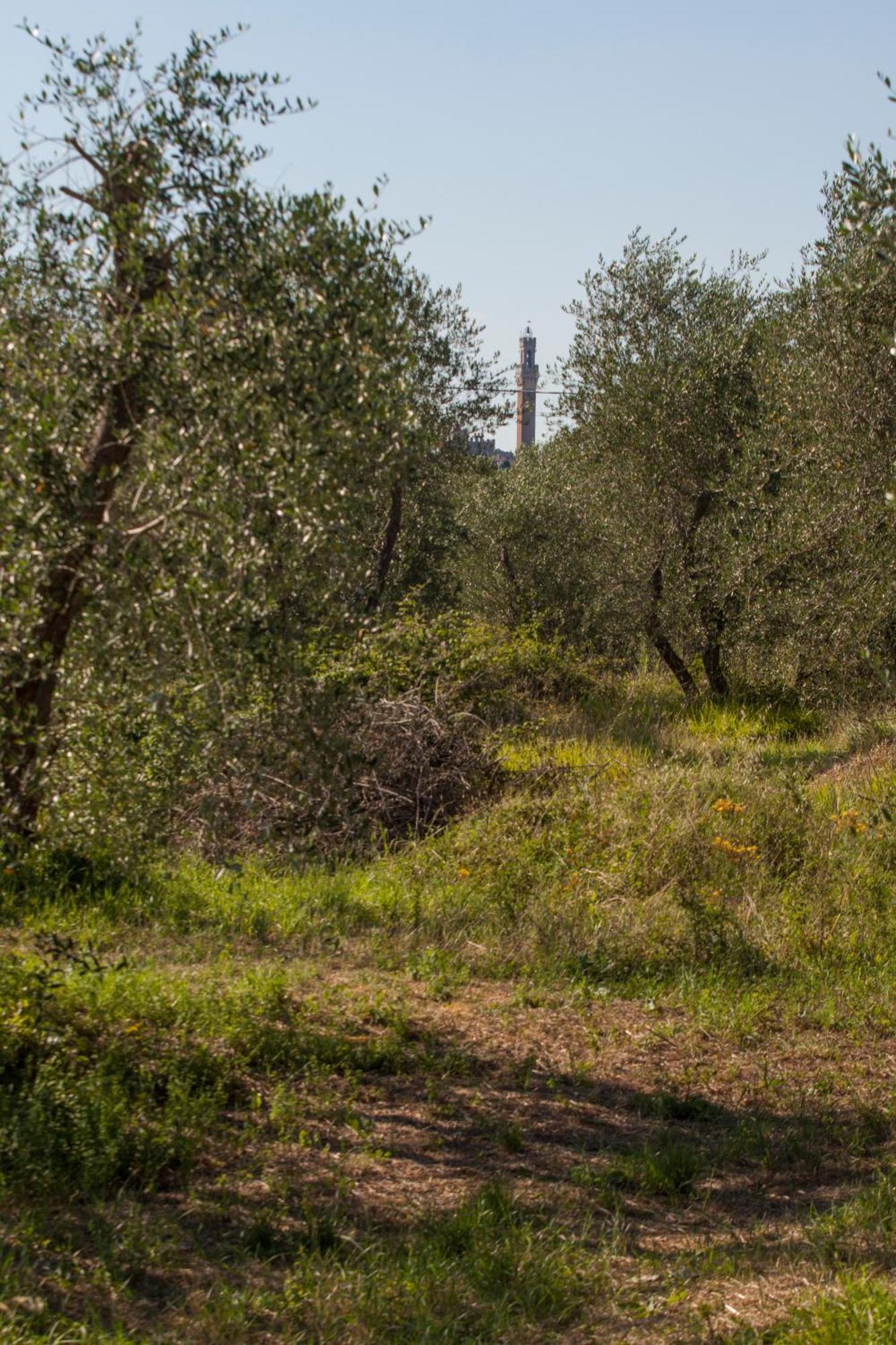 Podere Piazza Casa Dell'Arcivescovo シエーナ エクステリア 写真